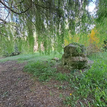 Oda ve Kahvaltı Chateau De La Segue Fauroux